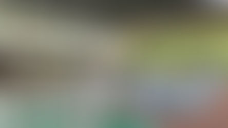 Ninjas UI SAN Realiza Exame de Graduação em Rosário da Limeira