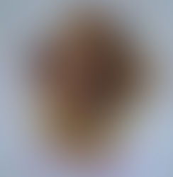 Canard à l'orange ?