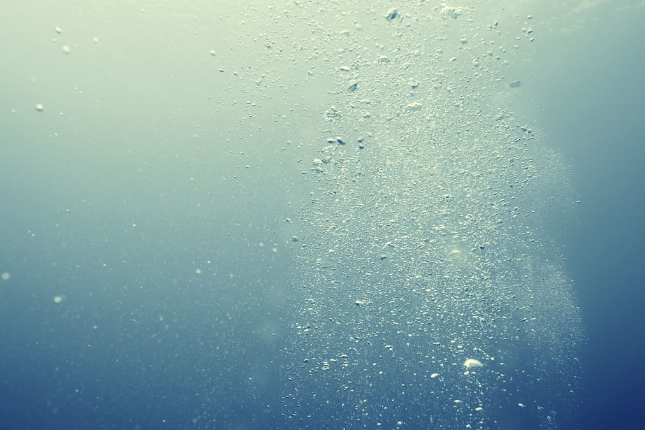 AdobeStock_104809513.jpeg