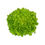 Thumbnail: Kristine | Green Oak Leaf Lettuce Seeds | By Rijk Zwaan | Pelletized Seeds