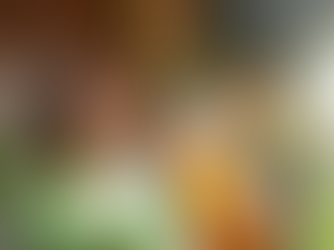 Spring Cleaning Checklist for Homes in British Columbia