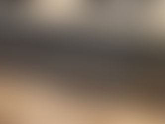 Slide out Kitchen garbage caddy (Installed)