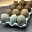 Thumbnail: Burberry's Back Crosses - Later Gen Olive Egger Hatching Eggs