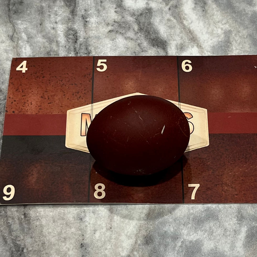 Thumbnail: Burgundy Egg Project