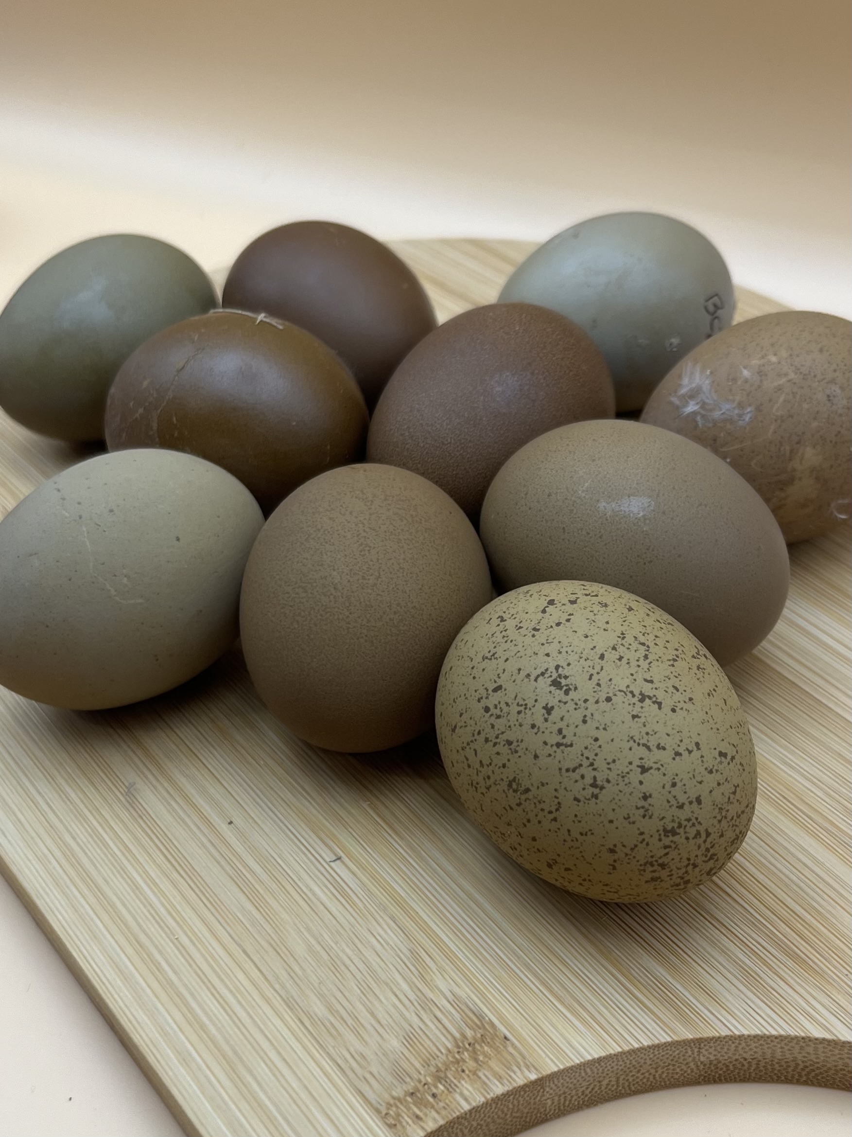 Aluminum Beverage Can   