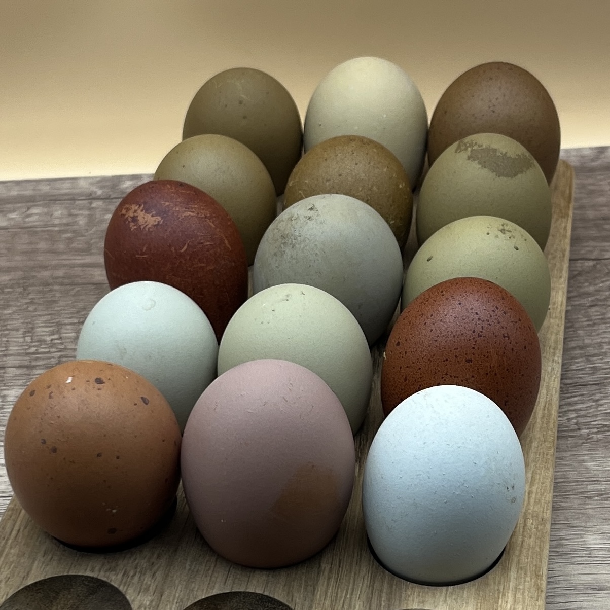 Aluminum Beverage Can   