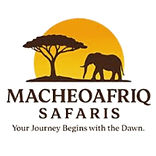 Macheoafriq Safaris_edited.jpg