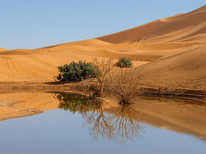 Sossusvlei After the Rains - A Desert Transformed