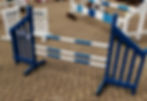 Dog Agility Set of 3 (Small)
