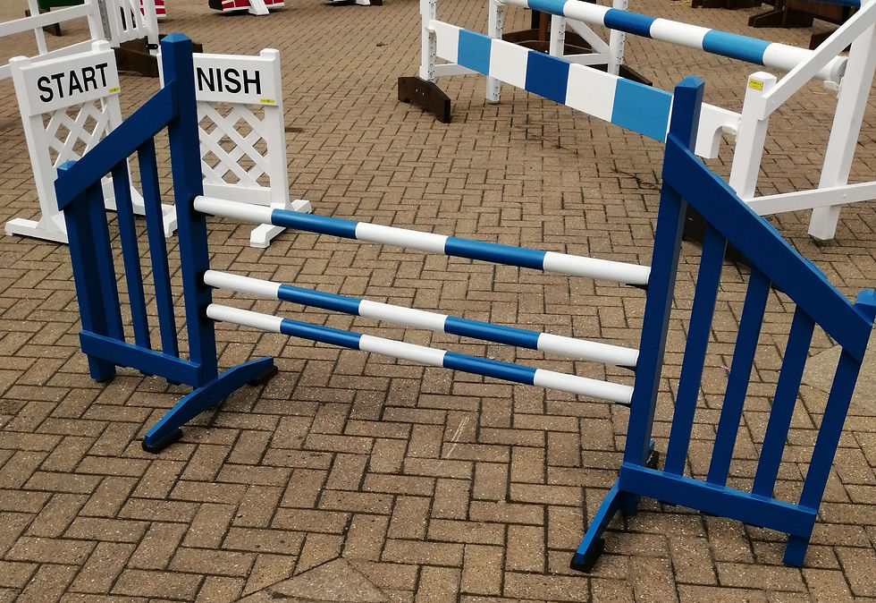 Dog Agility Set of 3 (Small)