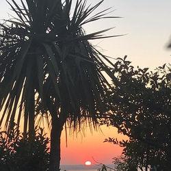 104741955_10157826221269775_169213479861