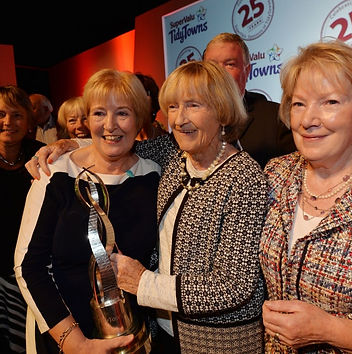 skerries tidy towns.jpg