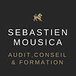 Formation Audit interne Contrôle interne Gestion des risques Sebastien Mousica