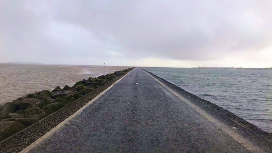 Nature Diary: Marine Lake
