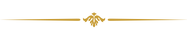 Bar image Wix.png