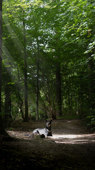 DSC02095-Verbessert-NR Kopie