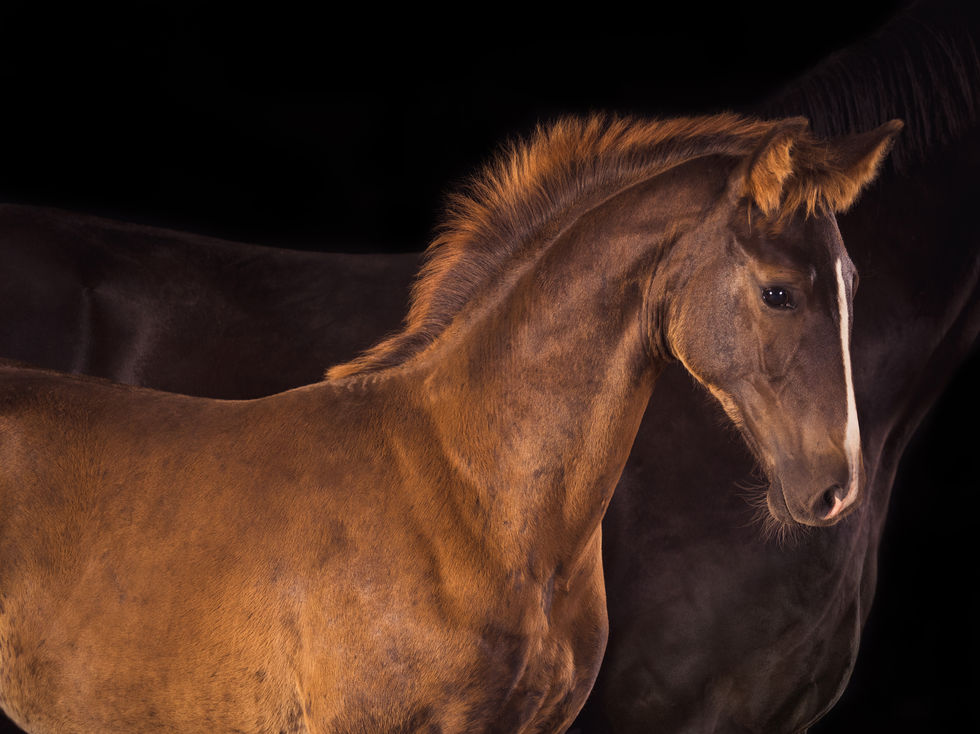 DSC01103-Bearbeitet Kopie 3