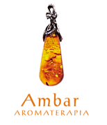logo transp naranjo sin casillas_edited.png