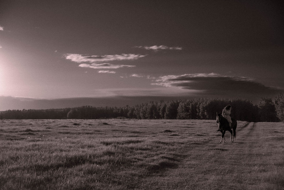 C13_8208-2-Enhanced-NR