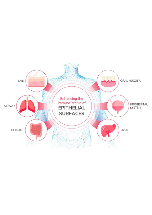 Akthelia Enhancing Epithelia 2.jpg