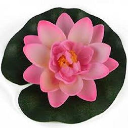 light pink.jpg