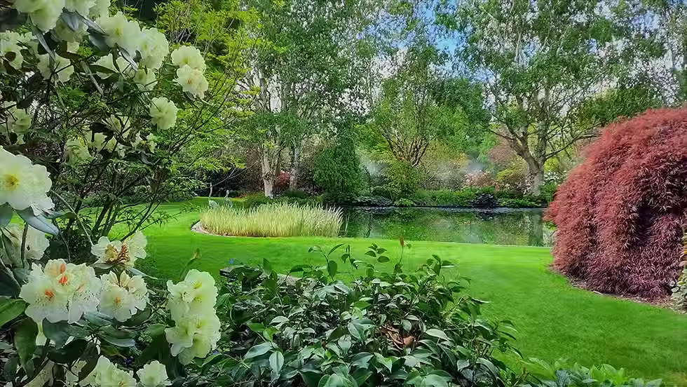Picturesque and vibrant garden scenery at Brantwood, Trott's Garden in Ashburton, featuring diverse plants and charming pathways for unique wedding photos.