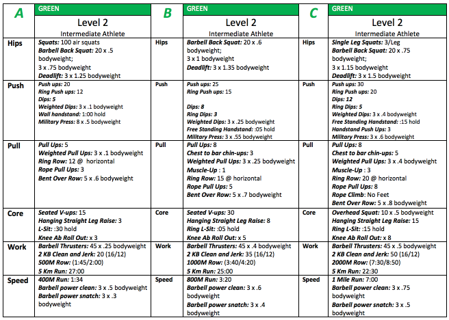 Example of Level 2 Benchmarks