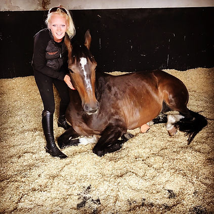 Equine Transport