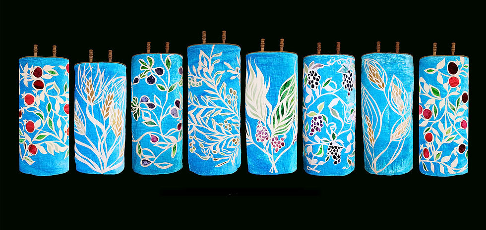 Torah covers, Princeton