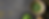 maccha-img02.png