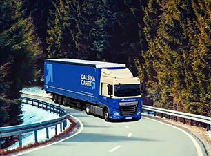 servei-plus-calsina-carre_edited.jpg