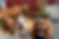 Screenshot 2025-06-19 at 3.41.36 PM.png
