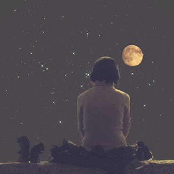 Awaken your Pleiadian soul mission and remember why you never fit in. Horus, lunar cycles & star codes guide you to build the New Earth from within.