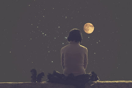 Moonlit Night Reflection