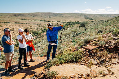 Touring the fossil beds in Nilpena Ediacara National Park with Nilpena Ediacara Tours