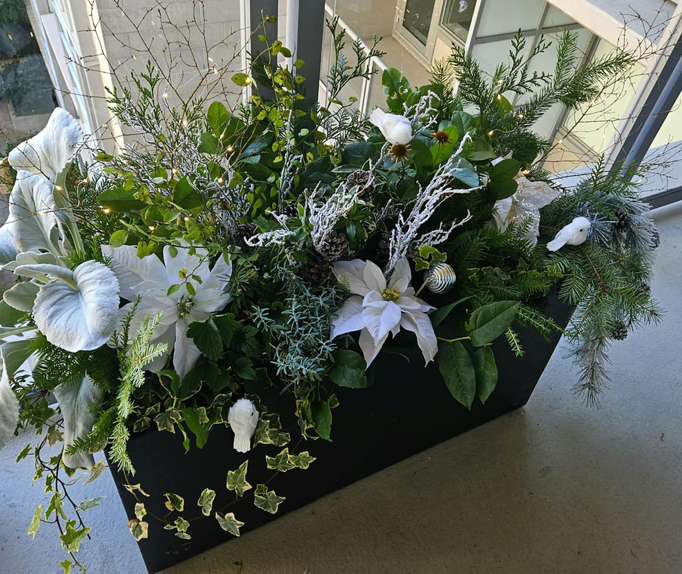 Use seasonal planters to decorate your home, indoor outdoor spaces or entrances.Create an atmosphere to share with the help of our landscape designer.