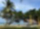 IMG_0997 2.jpeg