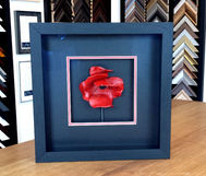 Tower of London Poppy