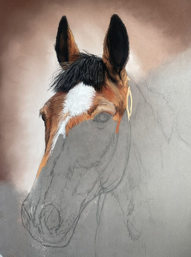 Ellie's Horse by Maggie Tanner Art