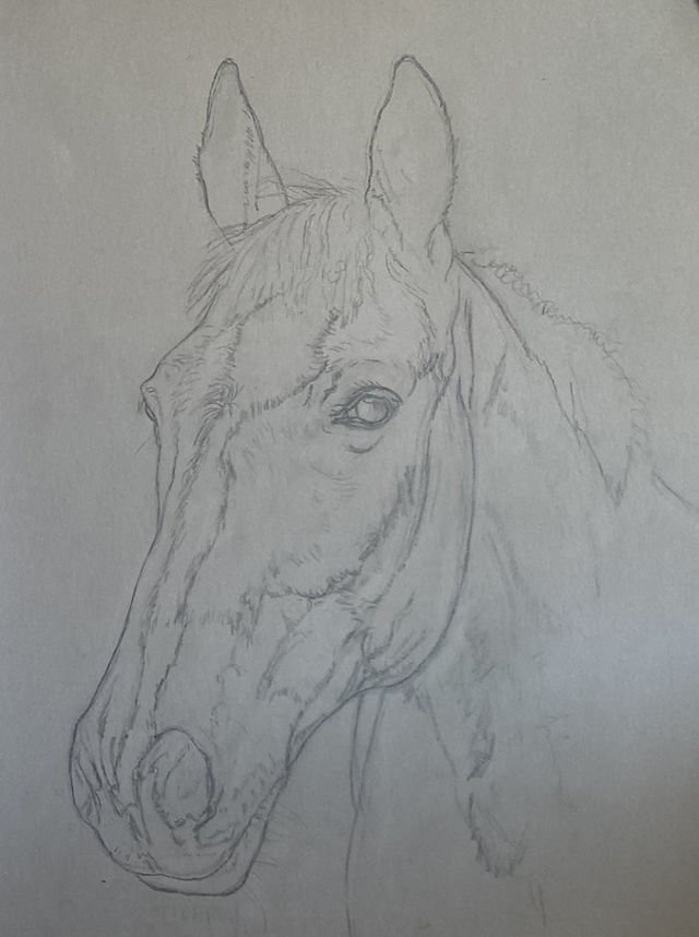 Ellie's Horse by Maggie Tanner Art