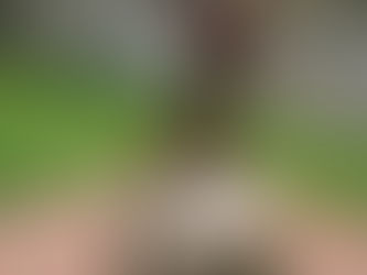 Sculpture on the Kitchen Garden Plinth 