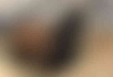 Stag, by Maggie Tanner Art