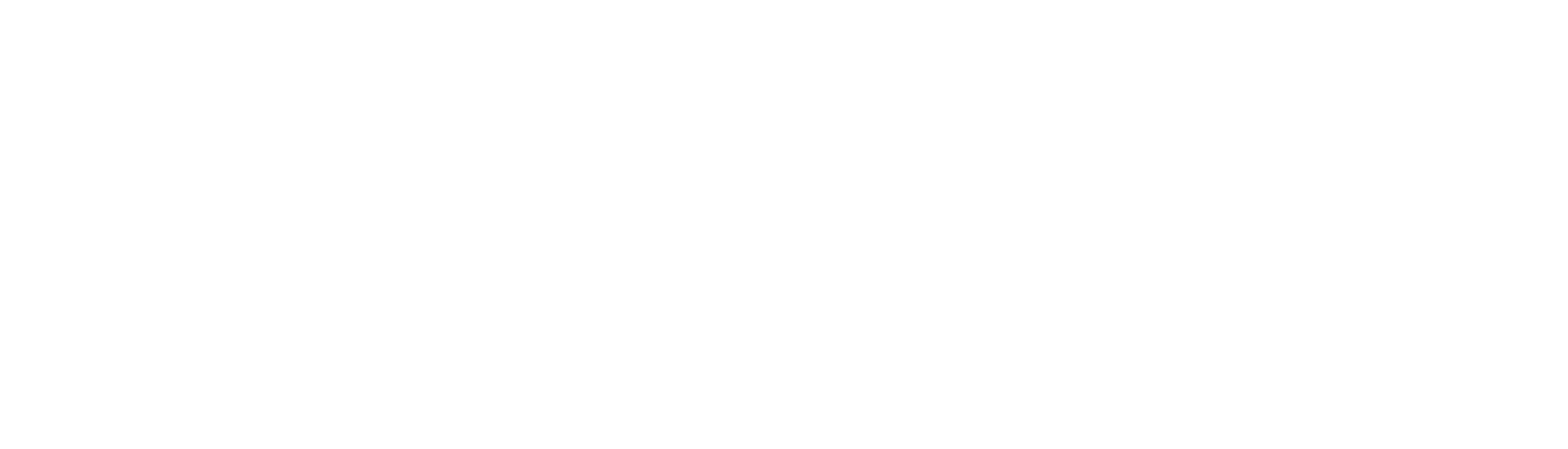 White logo - no background.png