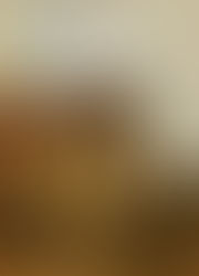 A Full House for a Fascinating Talk on Bomb Disposal