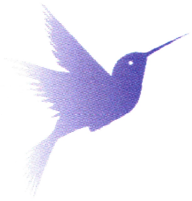 rmc-logo.jpg