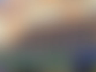 Winter Exhibition at Conways Gallery Oxford