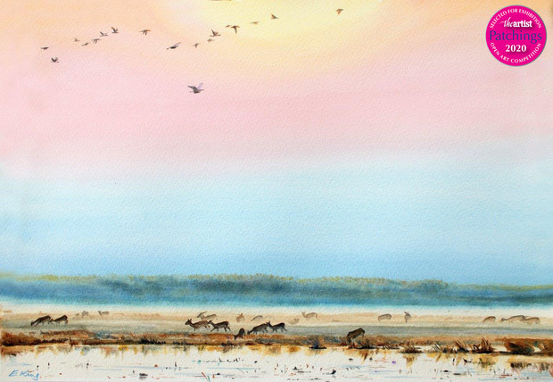 Serengeti Grazers