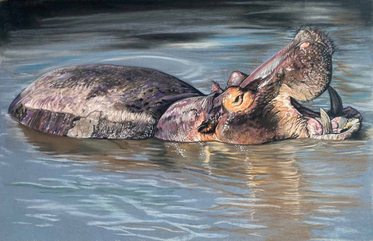 Hippopotamus by Maggie Tanner