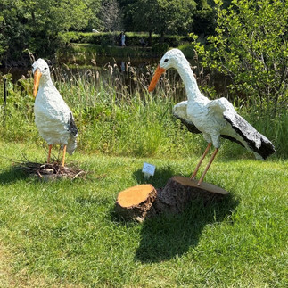 Pene Cairns - Storks