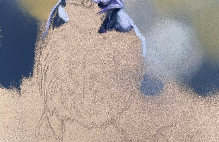 Blue Tit by Maggie Tanner Art